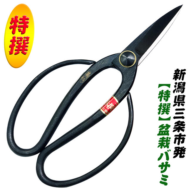 楽天市場】新潟県三条市発 特撰美松 池ノ坊 生花用鋏 165mm 高品質日本
