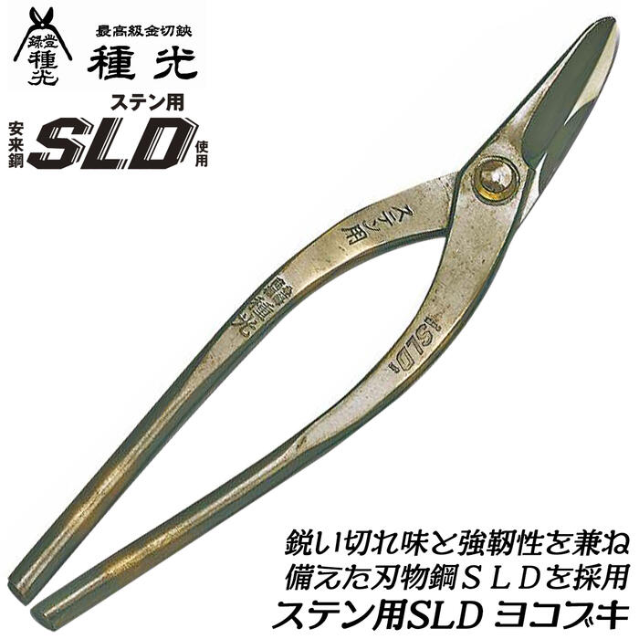 sldyoko-1.jpg