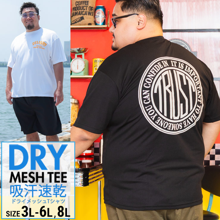 楽天市場】WEB限定 半袖 Tシャツ 3L 4L 5L 6L 8L 送料無料 ドライ