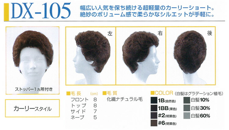 魅了低価格 魅力的な品質価格 魅力的な価格 レオンカ ウィッグ Wig Leonka 激安 Wig フルウイッグ デラクシィシリーズ Dx 105 白髪30 自然色に白髪30 入り 業務用 かつら ウィッグ ウイッグ つけ毛 女性用 医療用 販売 専門店 サロン専売品 美容