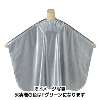 エルコ シルビア コールド＆シャンプー Pグリー 【 美容室 美容院 美容師 プロ 愛用 ヘアケア グッズ用品 シャンプー 商品 関連 】【BS】