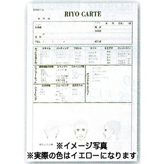 楽天市場 美容カルテ 用紙 100枚 美容室 美容院 美容師 プロ 愛用 業務用 サロン専売品 Bs ビューティー ストアー