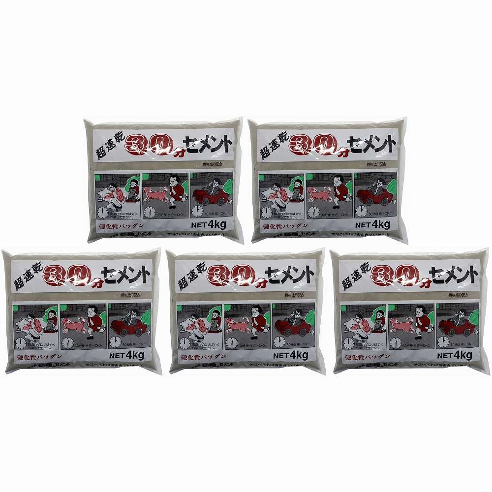 家庭化学工業 - 超速乾３０分セメント - グレー - ４ｋｇ 5個セット