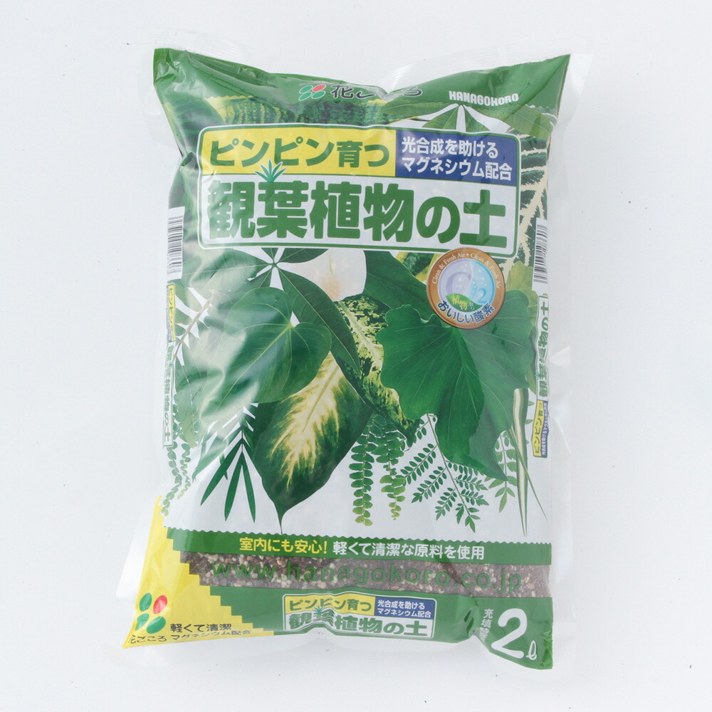 楽天市場 観葉植物がまくだけで甦る１ ２ｌ７号鉢 ３杯分用土 培養土 肥料 観葉植物 観葉植物の土 土壌改良 自然応用科学 自然倶楽部 楽天市場店
