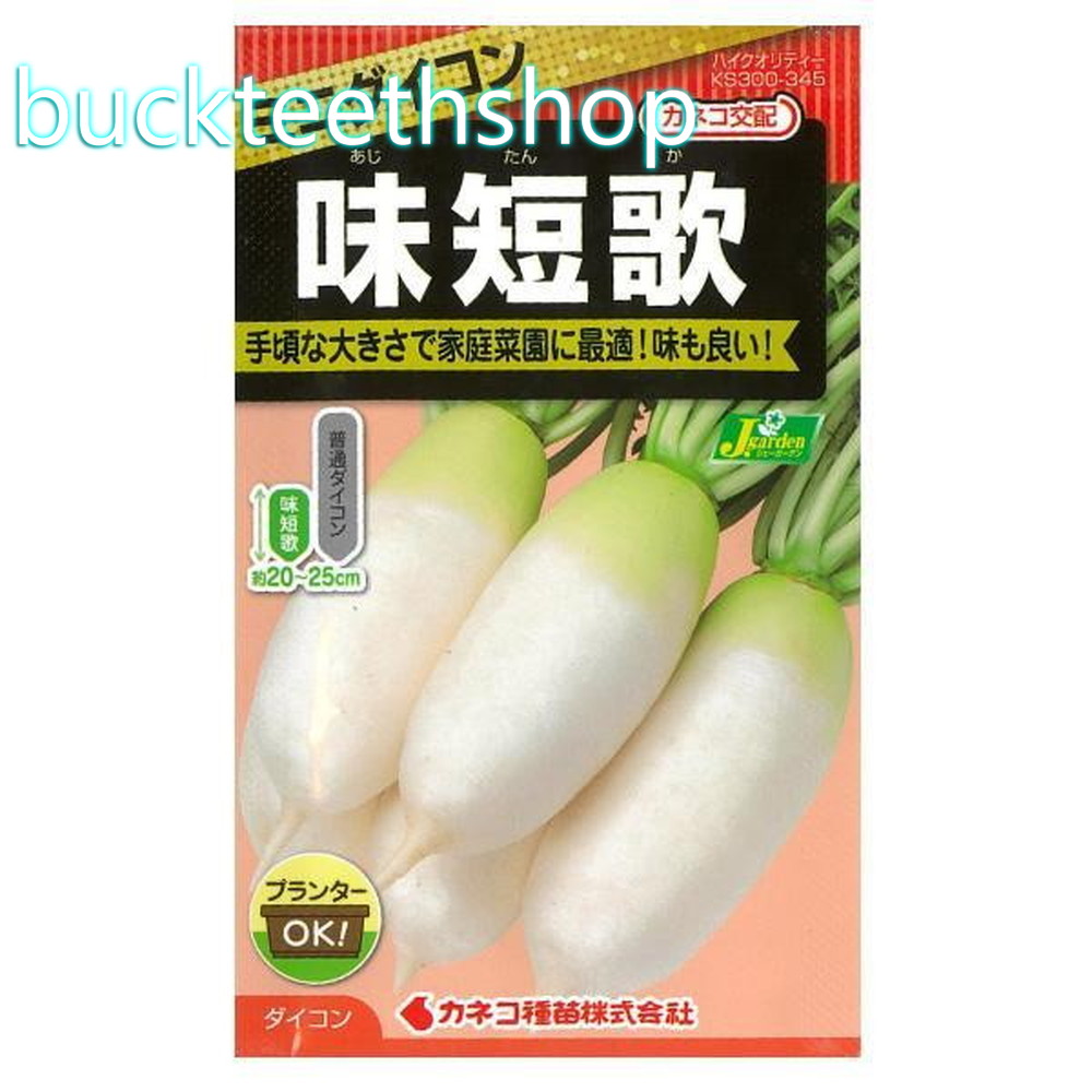 楽天市場】カネコ種苗 ダイコン 大根 だいこん 味短歌 小袋 : 種苗