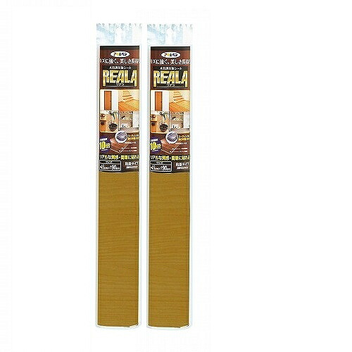 アサヒペン ＲＥＡＬＡ ４５ＣＭＸ１５Ｍ ＲＬ－Ｓ１５－４ 2本書き割り
