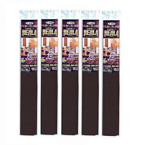 アサヒペン ＲＥＡＬＡ ４５ＣＭＸ１５Ｍ ＲＬ－Ｓ１５－５ 5本書き割り