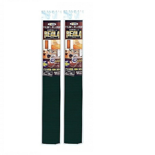 アサヒペン ＲＥＡＬＡ ４５ＣＭＸ１５Ｍ ＲＬ&minus;Ｓ１５&minus;６ 2本セット｜buckteeth shop 店 21,223円