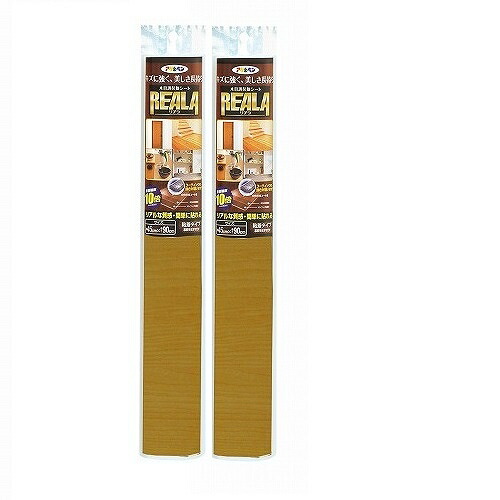 アサヒペン ＲＥＡＬＡ ９０ＣＭＸ１５Ｍ ＲＬ－Ｗ１５－４ 2本仕掛ける