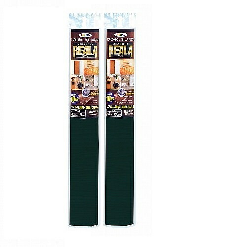 アサヒペン ＲＥＡＬＡ ９０ＣＭＸ１５Ｍ ＲＬ－Ｗ１５－６ 2本仕掛ける