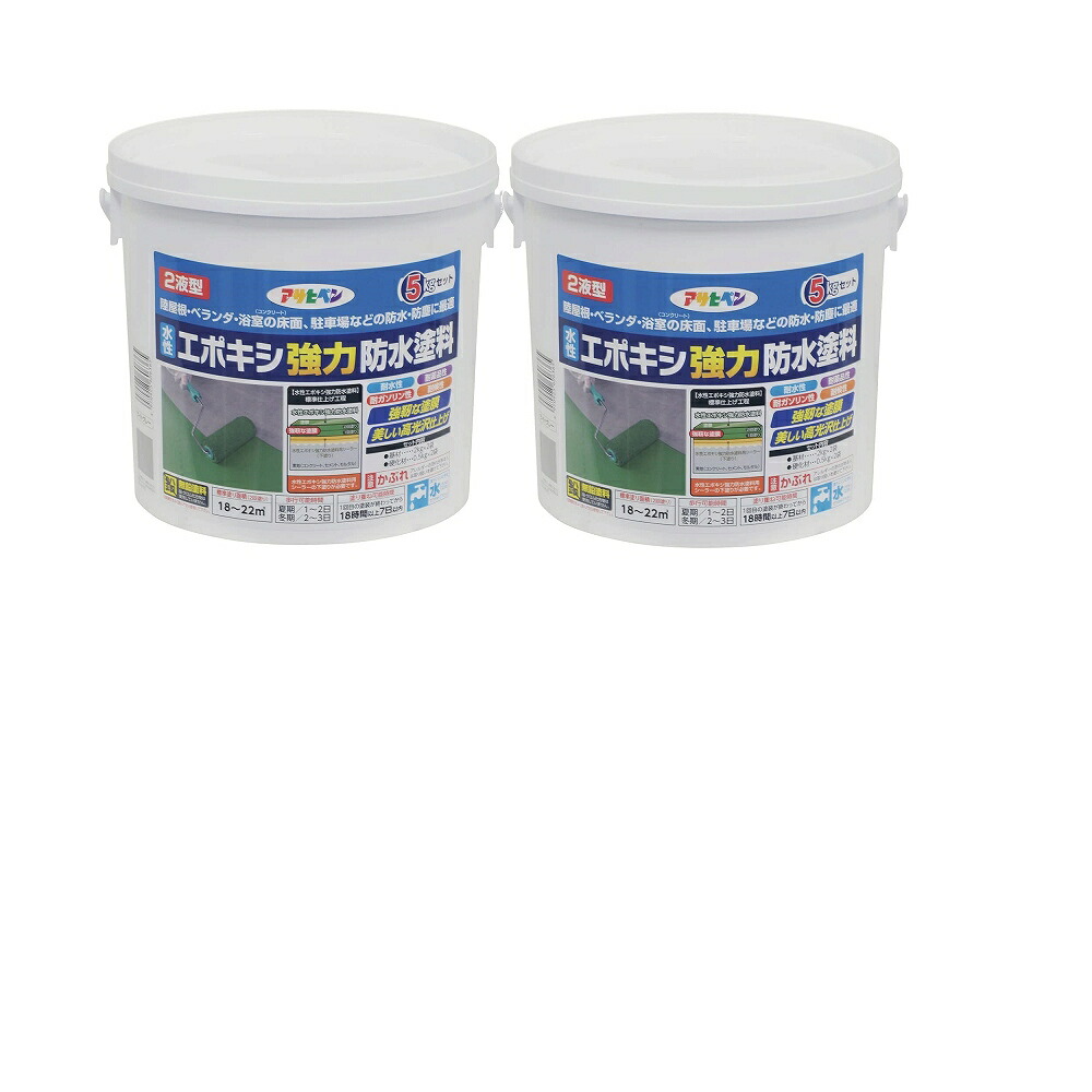アサヒペン　水性エポキシ強力防水塗料　５ＫＧセット　ライトグレー 2個セット