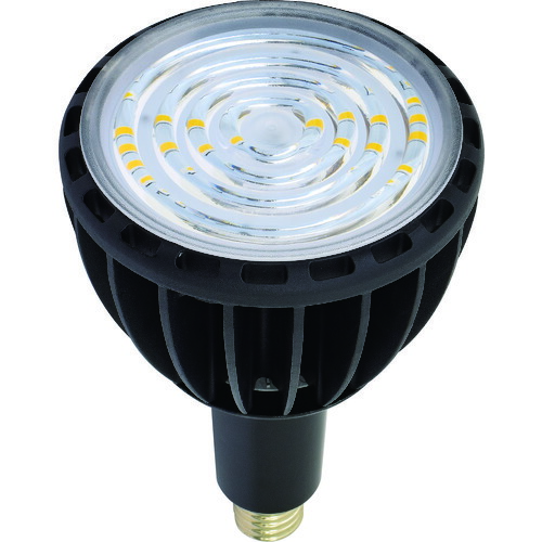 日動 LED交換球 エコビック100W E39 昼白色 スポット