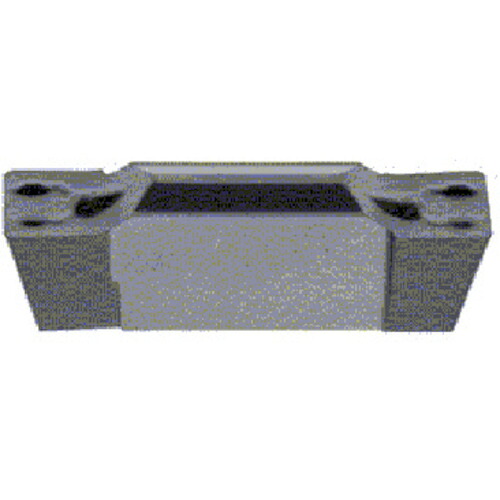 タンガロイ 溝入れ加工用インサート FLEX NS9530|buckteeth shop 店