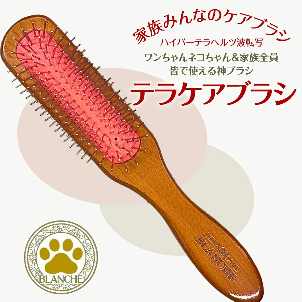お得な引き換え証＆でき事のごお引き回し 百貨店SALE