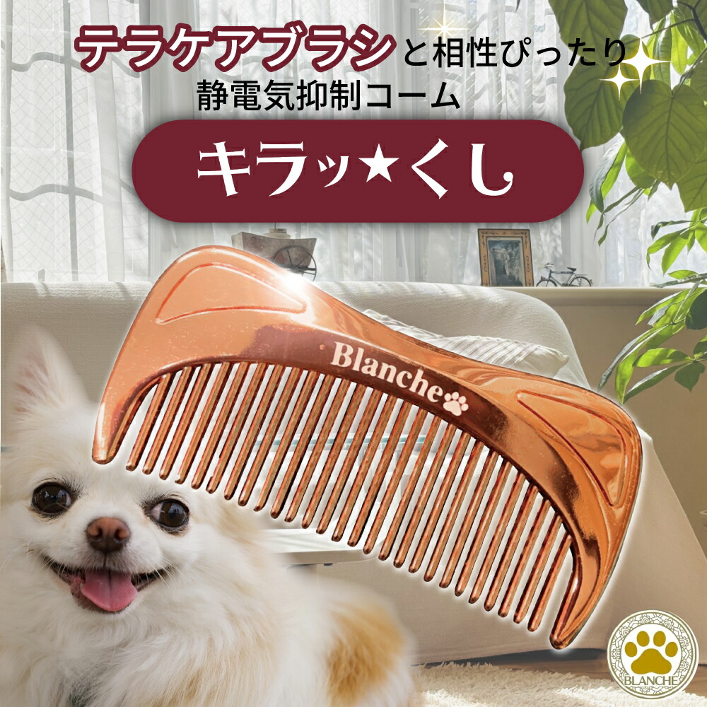 楽天市場】【正規販売代理店】BLANCHE ブランシュ テラケアブラシ