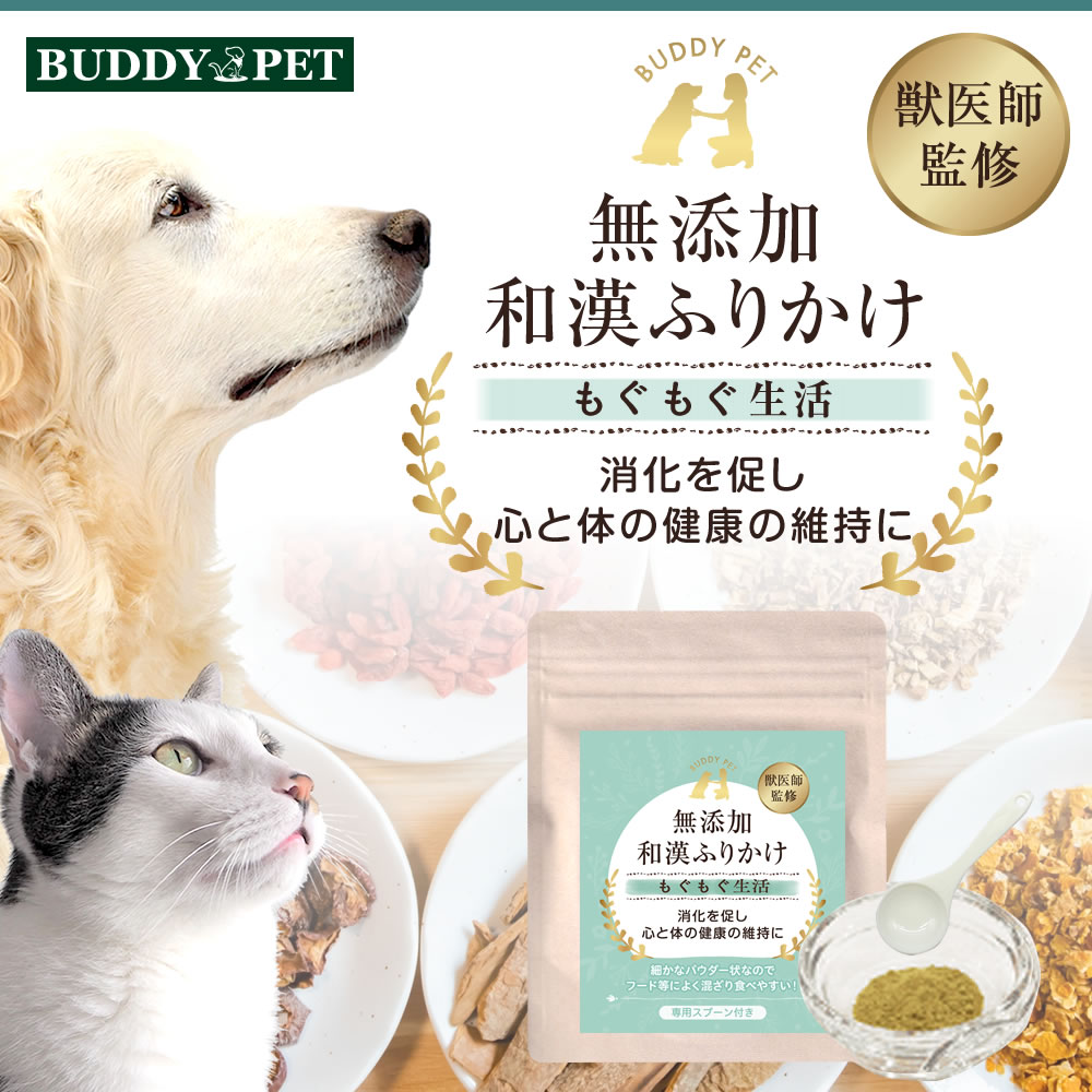 【きれいめファッション51選】上品さと清潔感をキープし kanpo-mogumogu.jpg 健康・医学