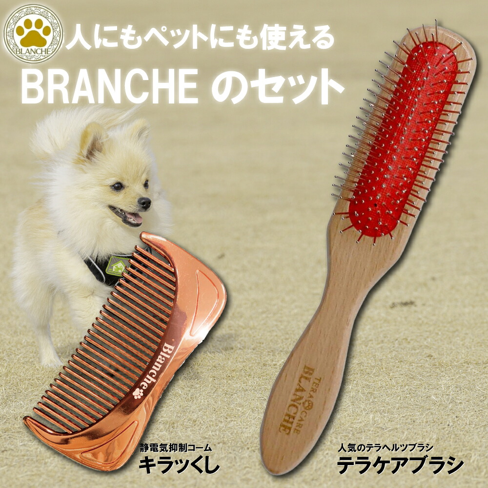 【正規販売代理店】BLANCHE ブランシュ テラケアブラシ キラッくし セットハイパーテラヘルツ波転写 静電気抑制コーム 高機能くし 冬 乾燥対策 癒し 健康 髪の毛 頭皮 マッサージ効果 セルフヘッドスパ ペット 人間 両方 携帯用