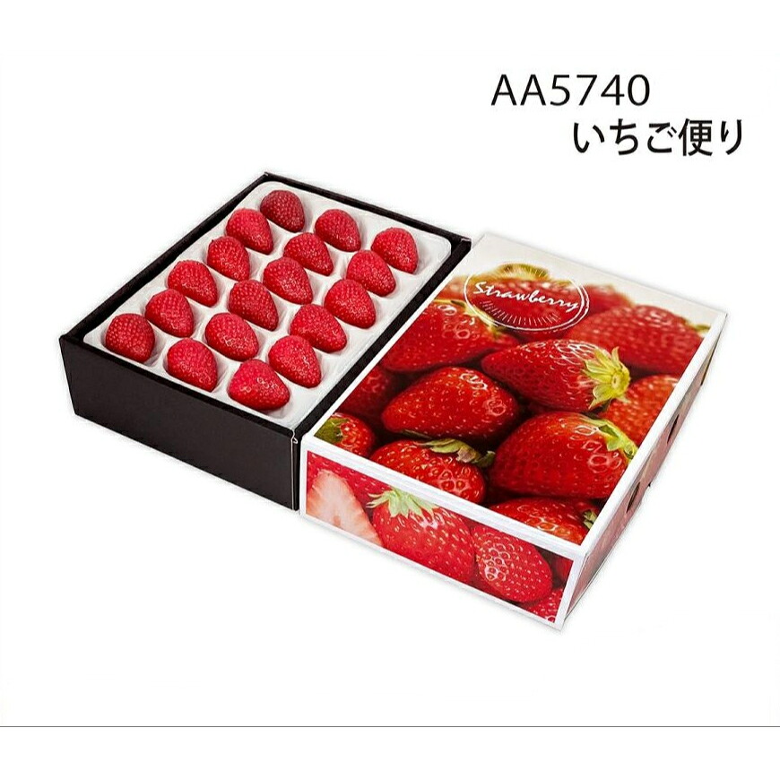 楽天市場】いちご用化粧箱 いちご便り （100枚入） 内寸：230×160