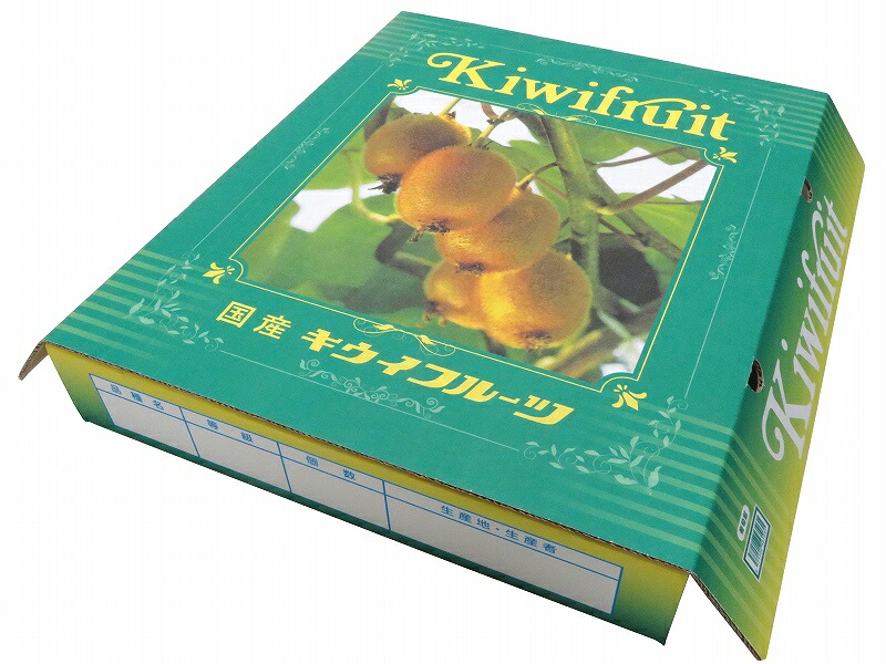 キウイ3.6K　マキフタセット（デジタル印刷）　40セット リニューアルバージョン新発売！！