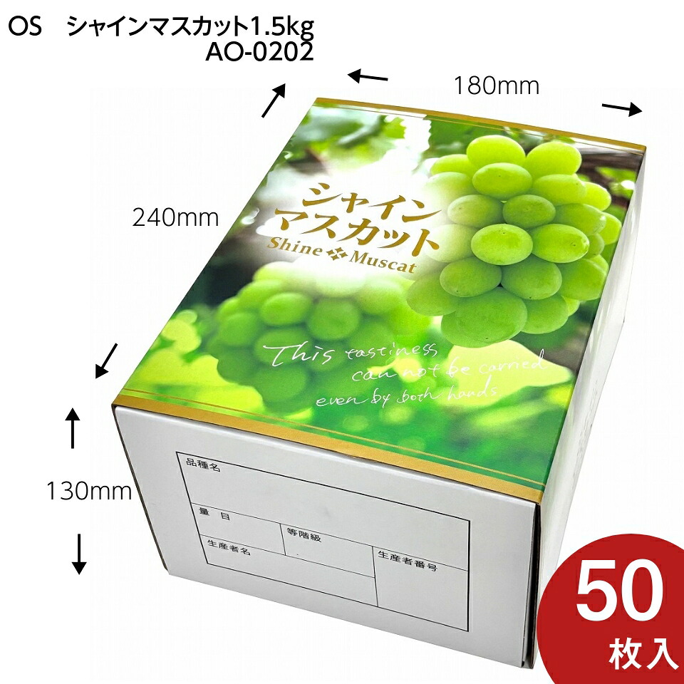 OS シャインマスカット 1.5kg　２房用　シャインマスカットギフト用化粧箱　果物箱　50枚入　（AO0202）