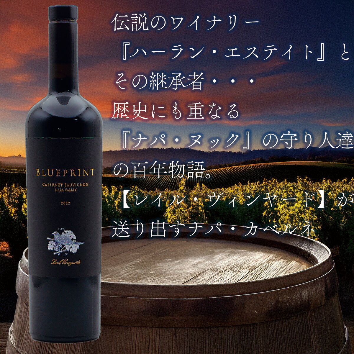 '22 ブループリント カベルネ・ソーヴィニョン ナパ・ヴァレー '22 BLUE PRINT CABERNET SAUVIGNON NAPA VALLEY|葡萄の蔵