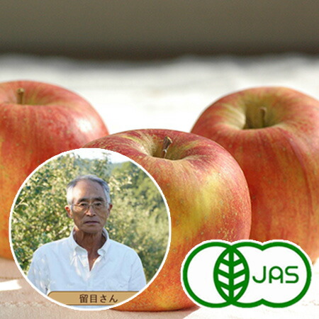 楽天市場】[有機栽培] 和楽堂養生農苑さんのりんご (2kg) オーガニック