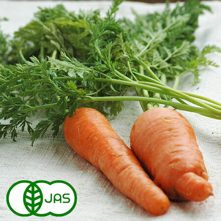 楽天市場】無農薬 EM農法 人参の葉 【葉っぱのみ】（にんじん）1袋3