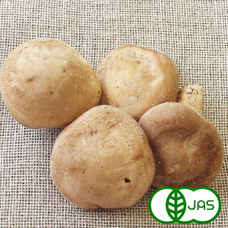 楽天市場】[有機栽培]なめこ(80g) オーガニック 有機 国産 新潟県産