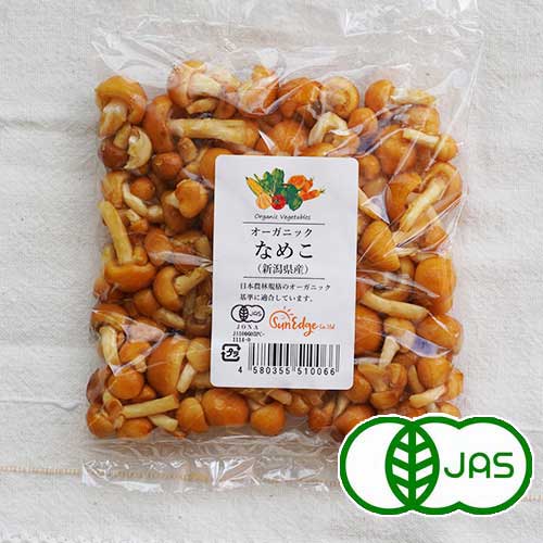 楽天市場】国産・天然キノコ 塩蔵（塩漬け）ナラタケ（ボリボリ モタセ