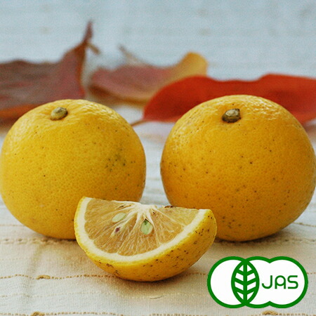 楽天市場】大分県産 ハウスかぼす ギフト用 化粧箱入 2kg 約20個前後