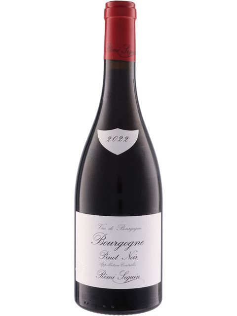 レミ スガン ブルゴーニュ ピノ ノワール 赤ワイン フランス ブルゴーニュ 2022 750 Bourgogne Pinot Noir 誕生日 プレゼント ギフト 結婚祝いにおすすめ