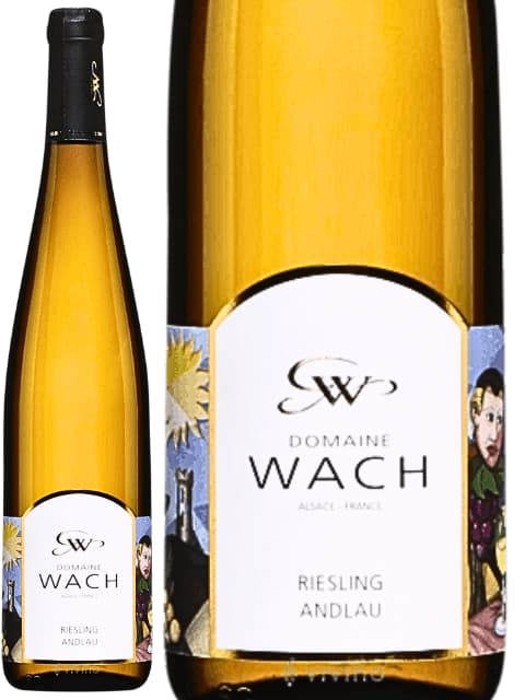 ギィ ヴァッハ ドメーヌ リースリング アンドロー 白ワイン フランス アルザス 2024 750 Domaine Guy Wach Riesling Andlau｜世界のワイン葡萄屋 17,778円