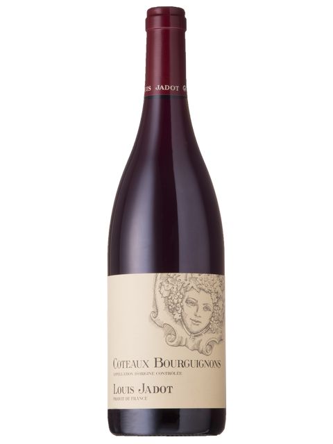 ルイ ジャド コトー ブルギニョン ルージュ 赤ワイン フランス ブルゴーニュ 2023 750 Coteaux Bourguignons Rouge|世界のワイン葡萄屋