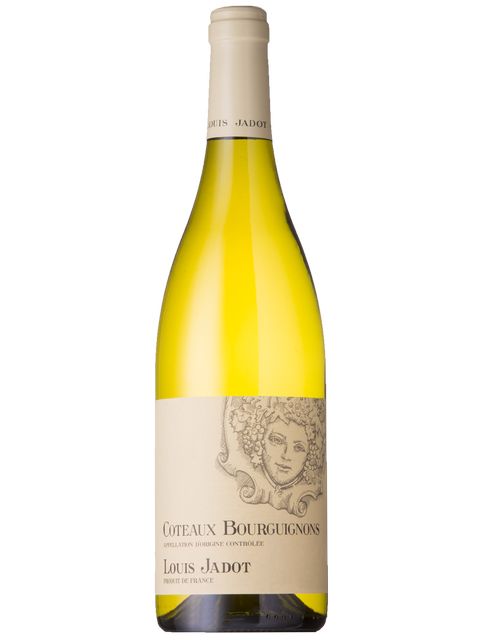 ルイ ジャド コトー ブルギニョン ブラン 白ワイン フランス ブルゴーニュ 2023 750 Coteaux Bourguignons Blanc|世界のワイン葡萄屋