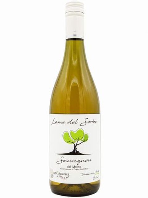 ヴィニカ ソーヴィニヨン 白ワイン イタリア モリーゼ 2020 750 Sauvignon