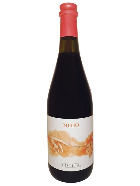 ディスティーナ ネーノ 赤ワイン イタリア エミリア＝ロマーニャ 2021 750 NENO Vino Rosso