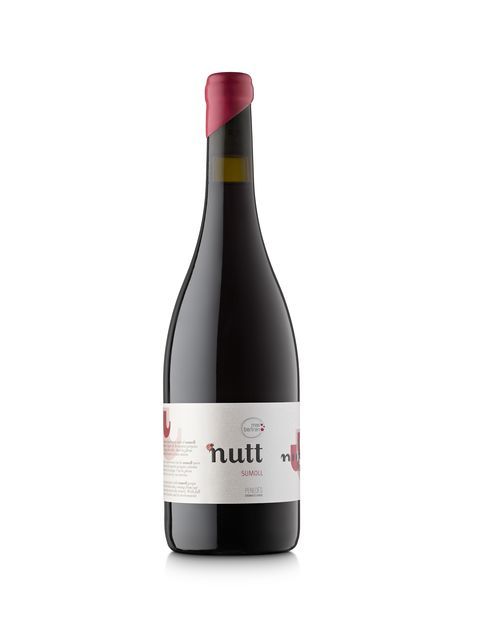 マス ベルトラン ナッツ スモイ オーガニック 赤ワイン スペイン ペネデス 2019 750 Mas Bertran Nutt Sumoll Organic