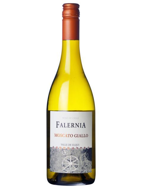 ビーニャ ファレルニア ファレルニア モスカート ジャッロ 白ワイン チリ エルキ ヴァレー 2023 750 Moscato Giallo