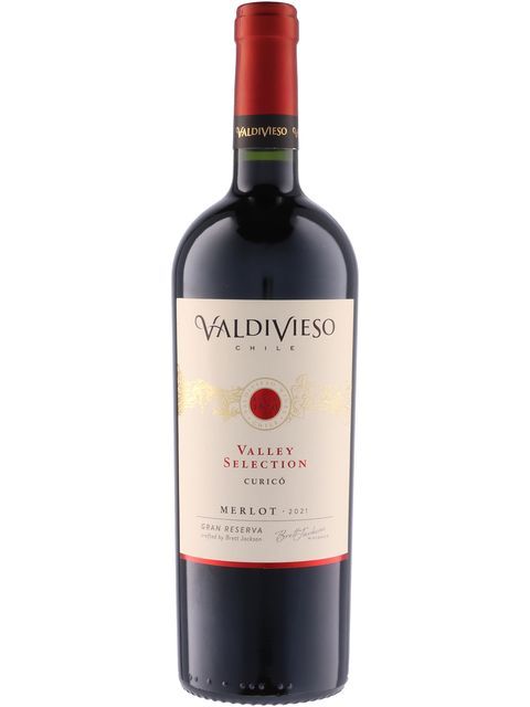 ビーニャ バルディビエソ ヴァレー セレクション メルロー 赤ワイン チリ セントラル・ヴァレー 2023 750 Valley Selection Merlot|世界のワイン葡萄屋