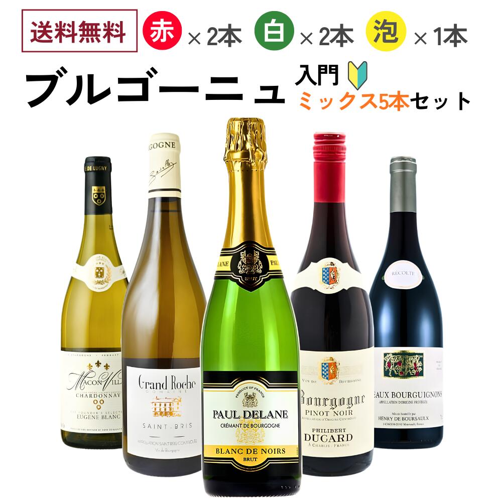 ブルゴーニュ入門5本セット / ワインセット フランス（カーヴ・ド・バイィ/ドメーヌ・グラン・ロシュ/カーヴ・ド・リュニー/ボワセ/アンリ・ド・ブルソー）｜世界のワイン葡萄屋