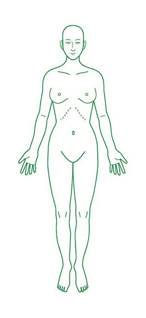 楽天市場 シャチハタ 医療用人体図 全身 女性正面 角型印60号 x60mm 病院 医院 整骨院 ゴム印 スタンプ はんこ奉行