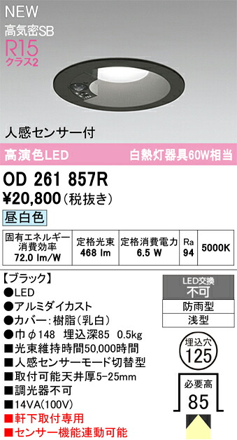 エクステリアライト オーデリック OD261857R