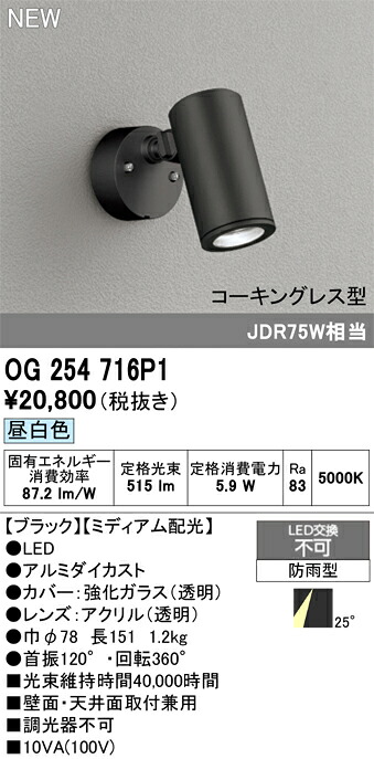 エクステリアライト オーデリック OG254716P1