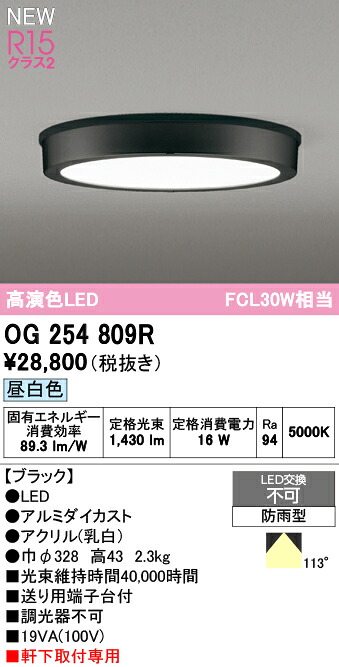 エクステリアライト オーデリック OG254809R