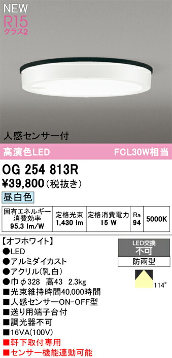 エクステリアライト オーデリック OG254813R