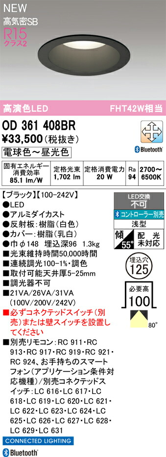 落ちこむ点火装置 オーデリック OD361408BR