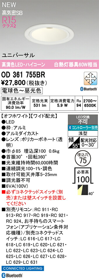 落ちこむ点火装置 オーデリック OD361755BR