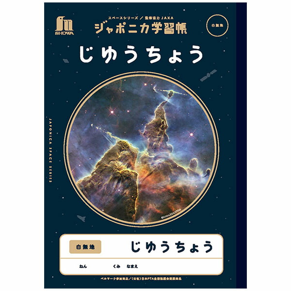 楽天市場】【7冊までネコポス対応〇】NK学習帳 こくご [12マスリーダー入り] 小学1年生・2年生・3年生 NKB-B5G-KG12M 国語ノート  12マス こくごノート 小学生 ノート : ぶんぶん文具屋さん