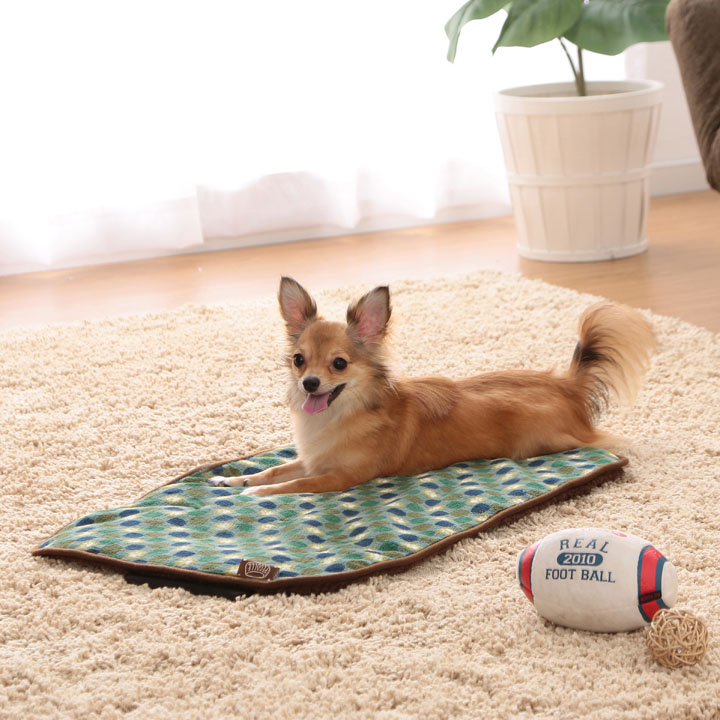 楽天市場 ブランケット Sサイズ Pmj600 レッド グリーン マット 毛布 ペット 犬 イヌ いぬ 猫 ネコ ねこ あったか 秋冬 冬用 ペット用 犬用 猫用 手洗い 洗濯 かわいい 可愛い 肉球 足あと 超小型犬 小型犬 アイリスオーヤマ ｂｕｎ ｂｏ グ