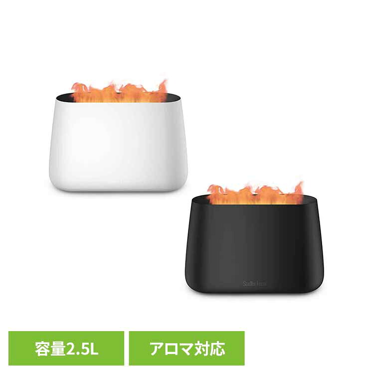 Stadeker Form Ben2.0 加湿器 StadlerForm スタドラフォーム デザイン家電 北欧 おしゃれ 超音波式 アロマ 加湿器 リビング 寝室 Stadler Form ホワイト ブラック｜g＋プラス